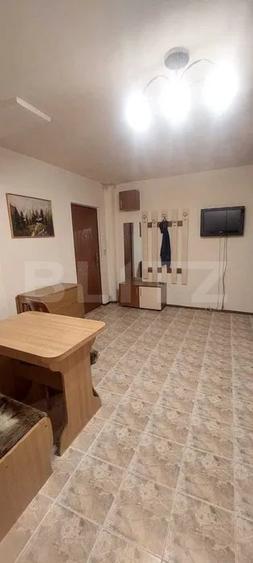 Apartament cu 2 camere decomandat, mobilat în Zorilor