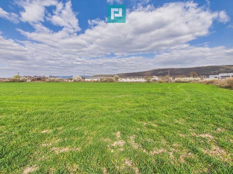 Teren agricol extravilan de 10000 mp, în Sud-Est