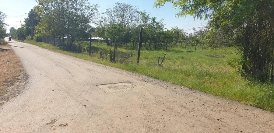 Teren de 1462 mp, în Ceptura