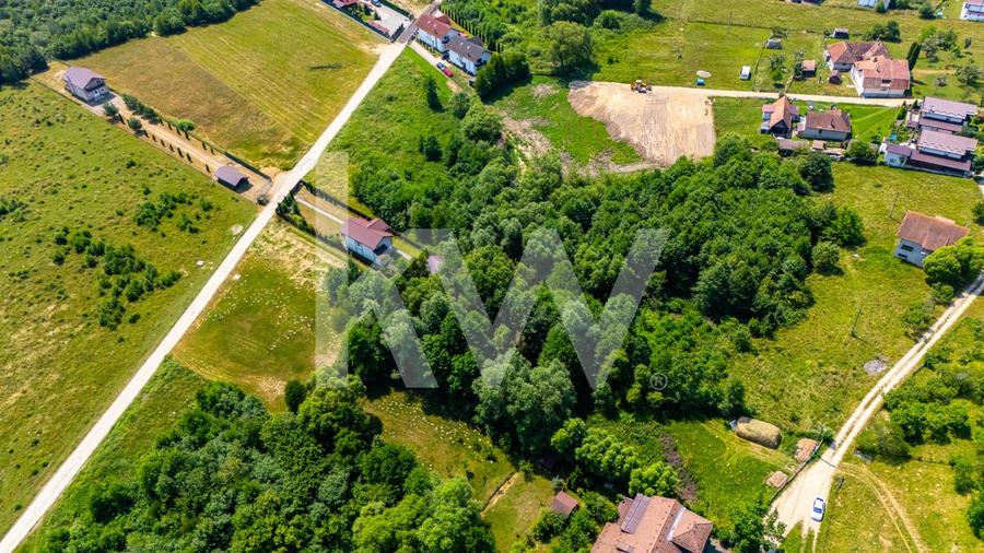 Teren Construcții intravilan de 1173 mp, în Predeluț