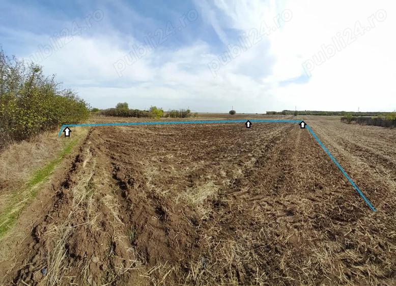 Teren de 1000 mp, în Valea Plopilor