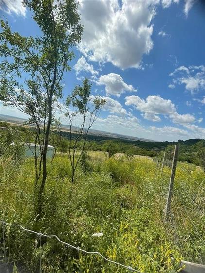 Teren Construcții intravilan de 1675 mp, în Podgoria