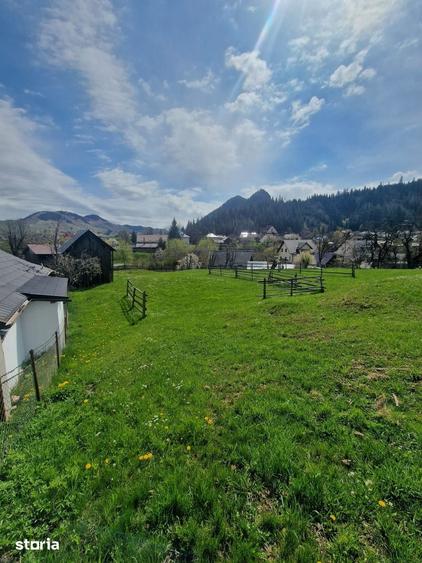 Teren de 3146 mp, în Pojorâta