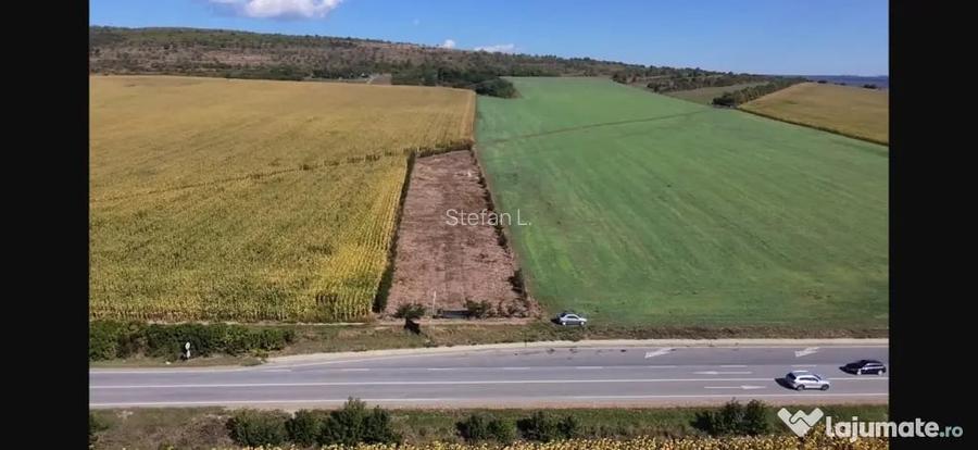 Teren de inchiriat 31 ari, la ie?irea din Suceava spre Patrau?i