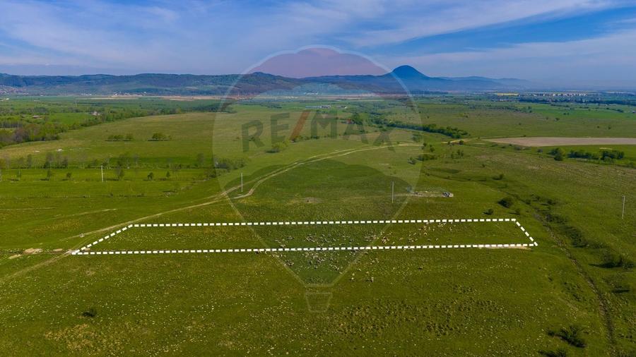 Teren agricol extravilan de 10000 mp, în Glăjărie
