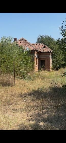 Teren Construcții intravilan de 12299 mp, în Țânțăreni