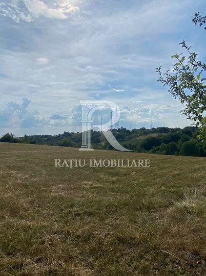 Teren Construcții intravilan de 17500 mp, în Șinteu