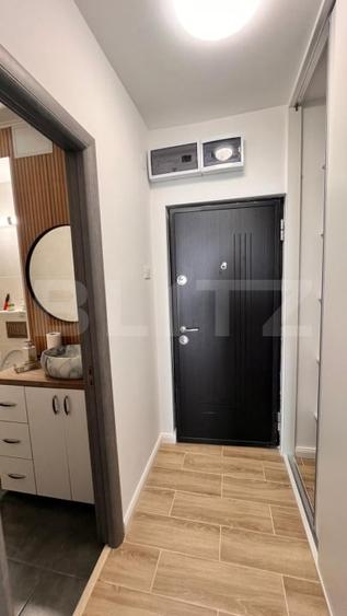 Garsoniera moderna , prima inchiriere, zona Brazda, Baba lui Novac - 11