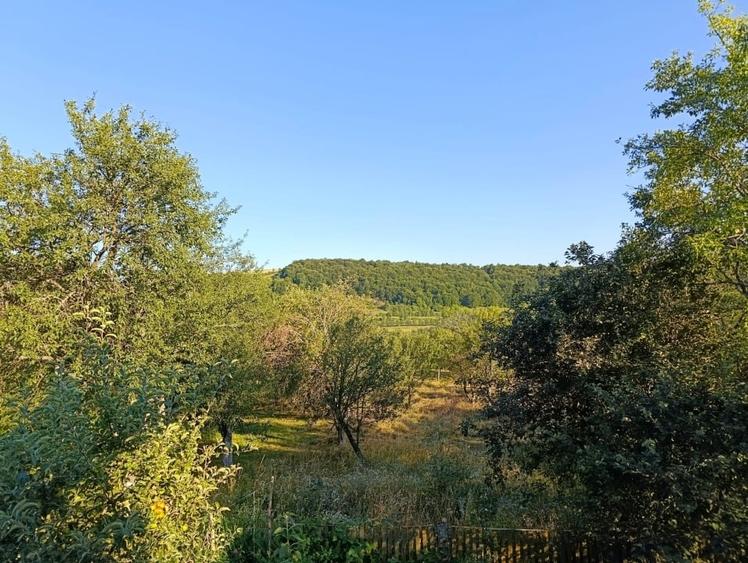 Casă individuală cu 3 camere cu Teren 3500 Mp în Prislop