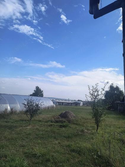 Casă cu 3 camere cu Teren 3500 Mp în Breaza