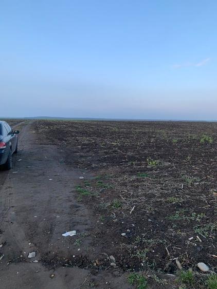 Teren Construcții intravilan de 31000 mp, în Frumușani
