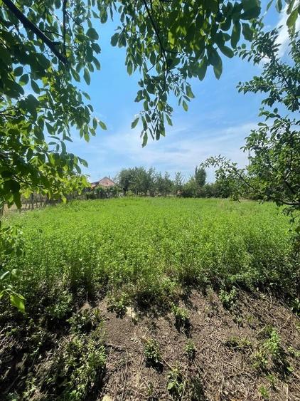 Casă cu 2 camere în Silivașu de Câmpie