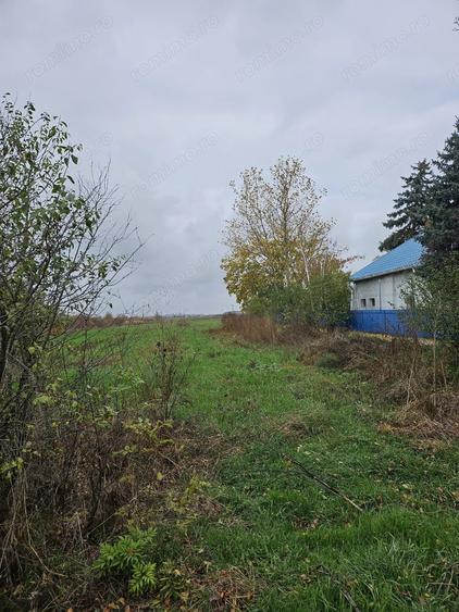 Teren de 18469 mp, în Butimanu