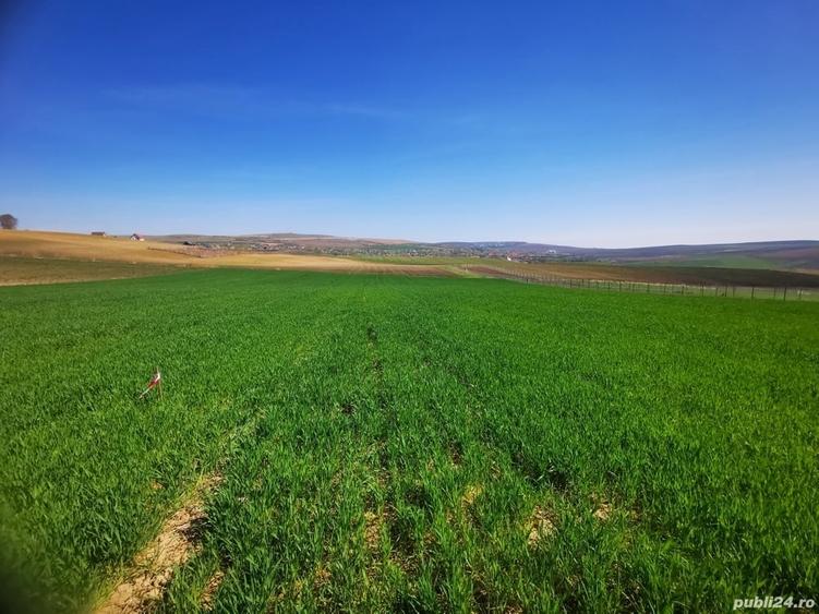 Teren de 2900 mp, în Rediu