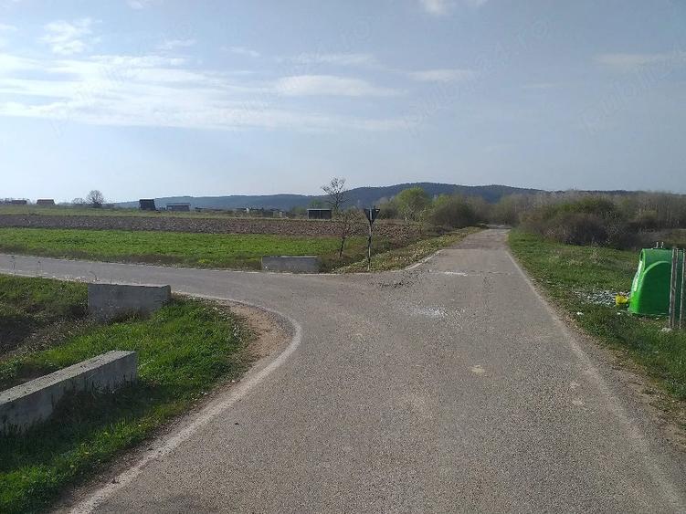 Teren de 800 mp, în Fârdea