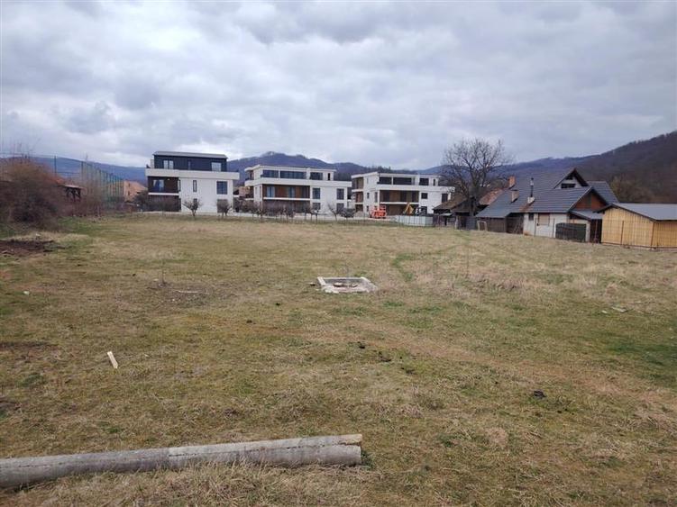 Teren Construcții intravilan de 2428 mp, în Central