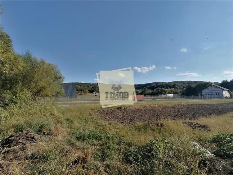 Teren Construcții intravilan de 3500 mp, în Hamba