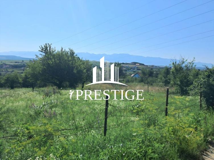 Teren Construcții intravilan de 960 mp, în Daia
