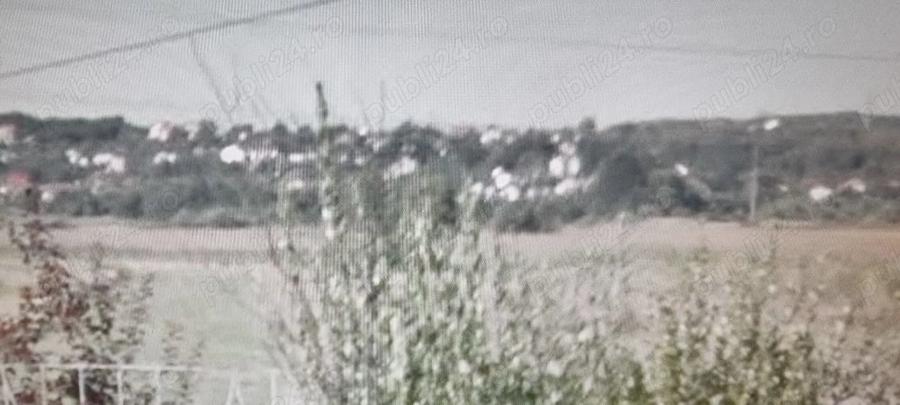 Teren de 4800 mp, în Bascov
