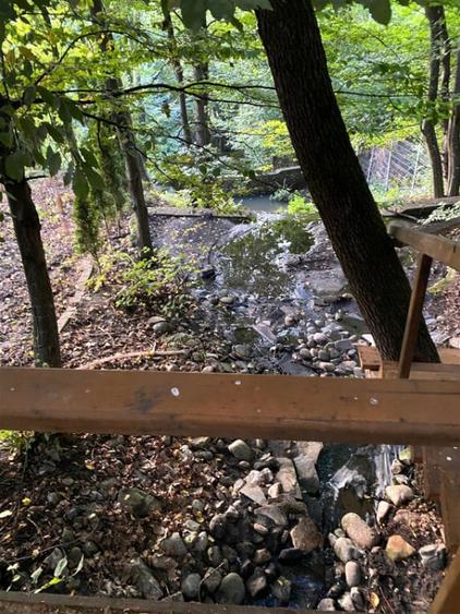 Casă cu 5 camere cu Teren 3000 Mp în Făget