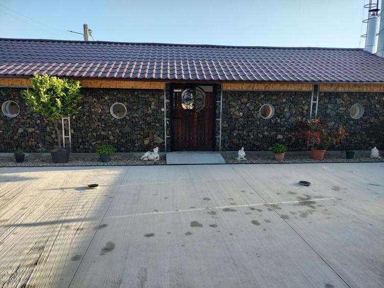 Spațiu comercial, de 120 mp, în Fibiș