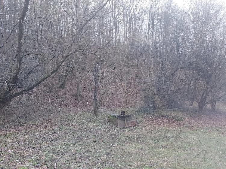 Teren de 8800 mp, în Nojag