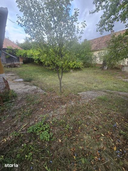 Casă cu 2 camere cu Teren 4100 Mp în Petrești