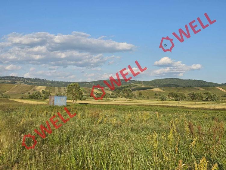 Teren extravilan de 9637 mp, în Sărămaș