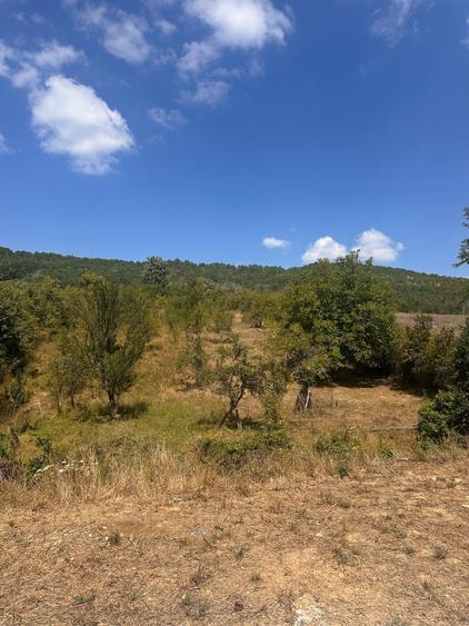 Teren Construcții intravilan de 2501 mp, în Valea Mare-Podgoria