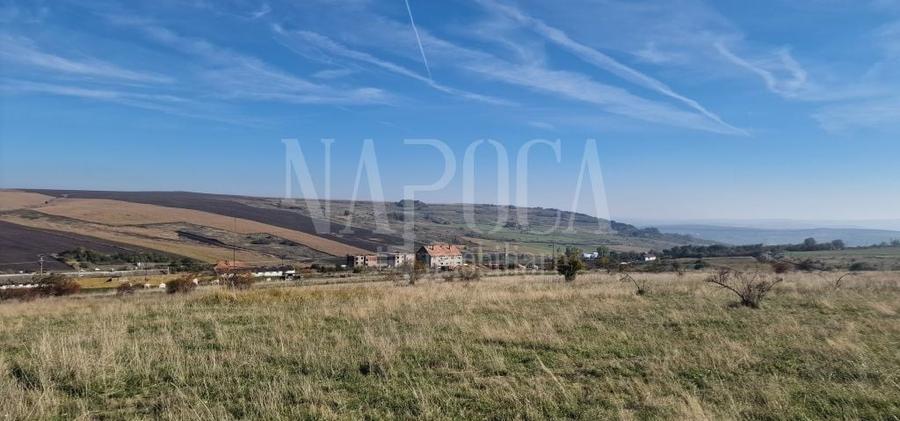 Teren agricol extravilan de 493170 mp, în Iris