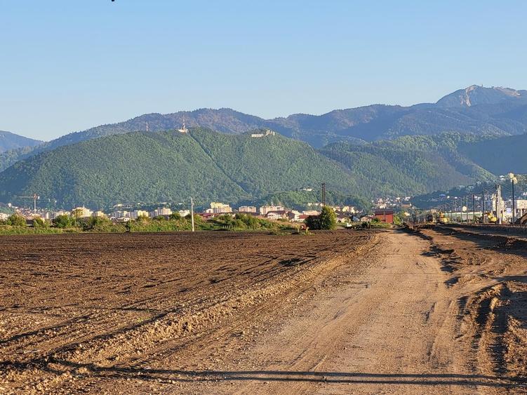 Teren Construcții intravilan de 2650 mp, în Rulmentul