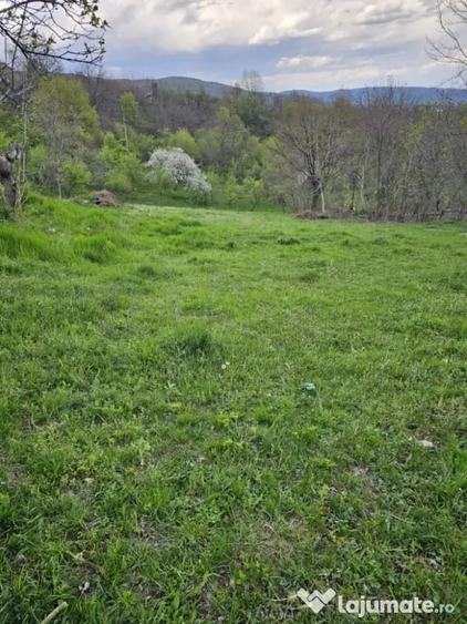 Teren de 950 mp, în Central