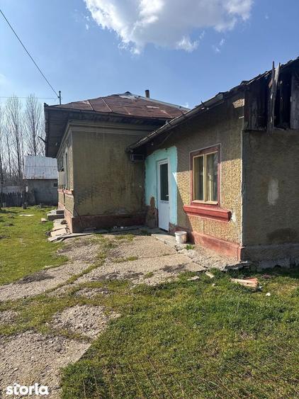 Teren+ casa Gostinu - 4