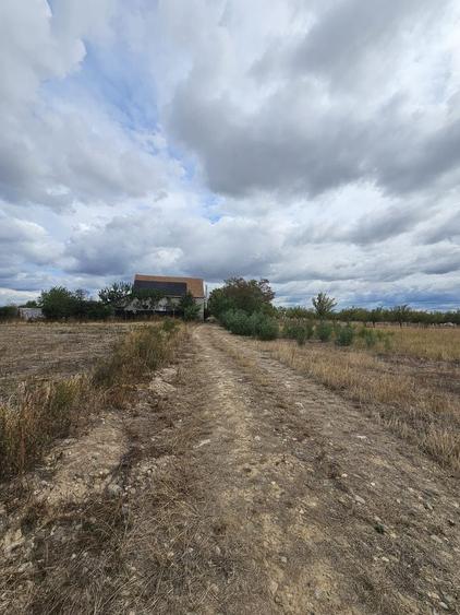 Teren agricol intravilan de 2000 mp, în Săcădat