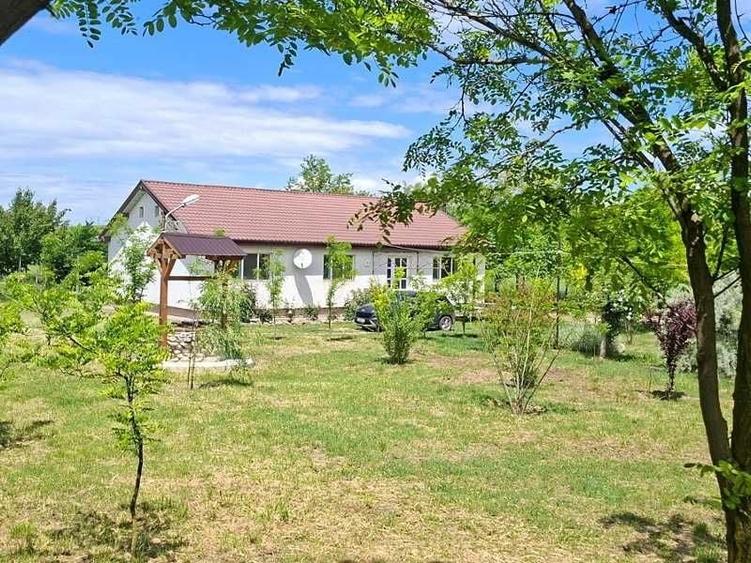 Teren de 90000 mp, în Peștera