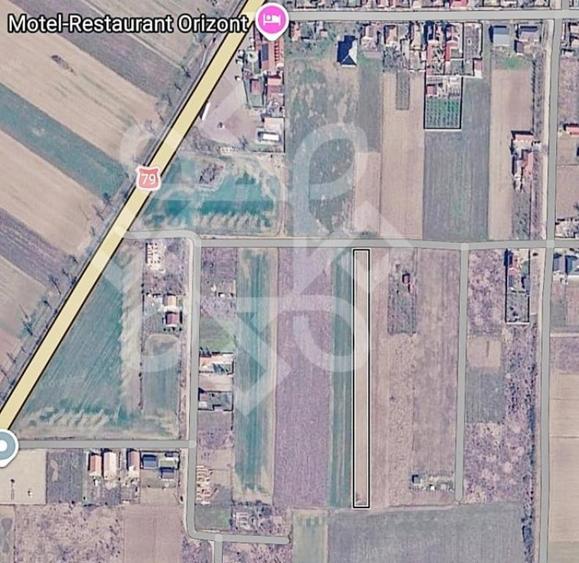Teren intravilan de vanzare, 3000 mp in Gepiu, Bihor - 6