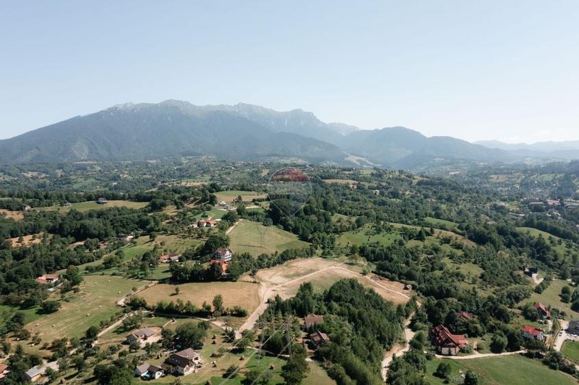Teren Construcții intravilan de 3000 mp, în Sohodol