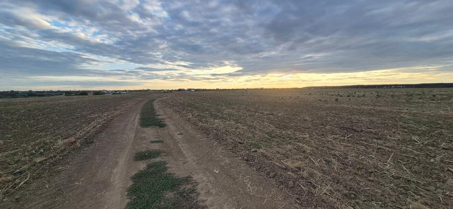 Teren Construcții intravilan de 850 mp, în Balotești