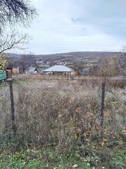Teren de 1100 mp, în Chițoc