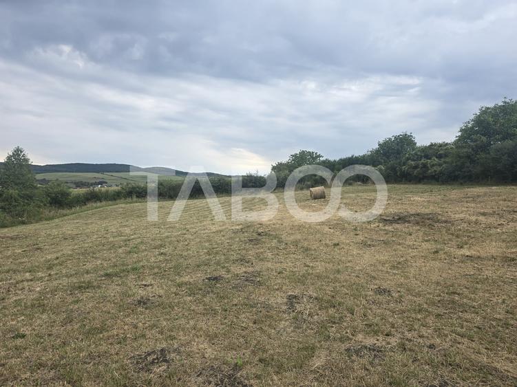 Teren agricol extravilan de 8700 mp, în Șura Mare