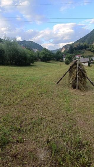 Teren intravilan cu casa veche si anexa de vanzare - 2