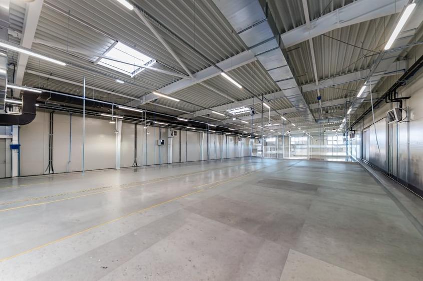 Spațiu industrial, de 3,446 mp, în Sânandrei