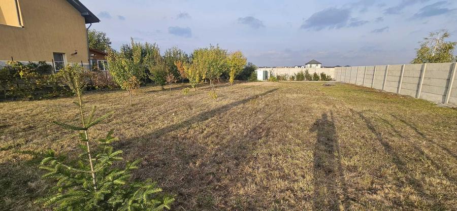 Teren intravilan, construibil, Magurele, locatie excelenta - 2