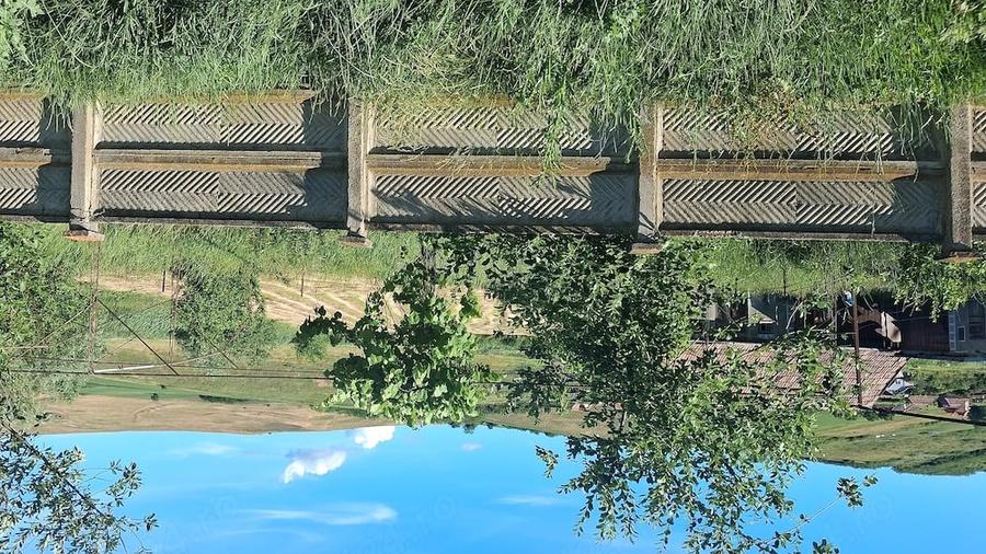 Casă cu 3 camere cu Teren 3700 Mp în Ceanu Mare