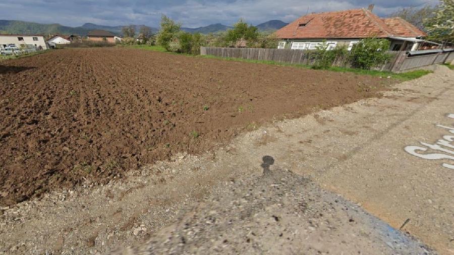 Teren agricol intravilan de 2500 mp, în Dumbrava Roșie