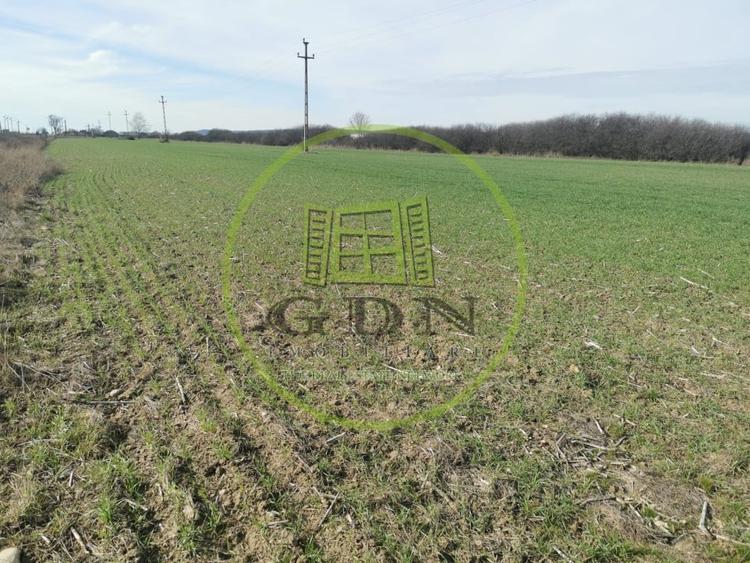 Teren agricol extravilan de 21496 mp, în Săcădat
