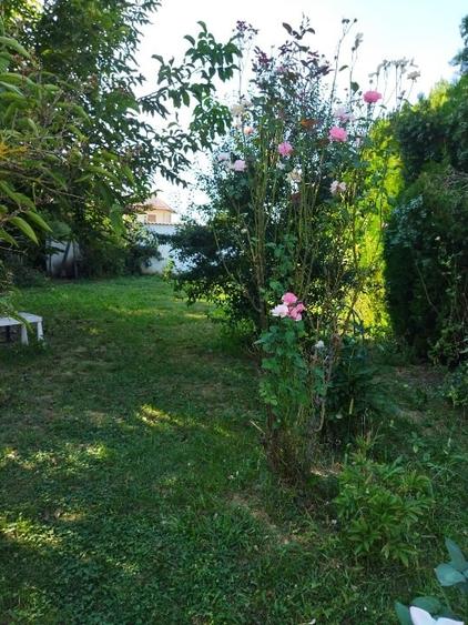 Casă individuală cu 5 camere cu Canalizare în Pasărea