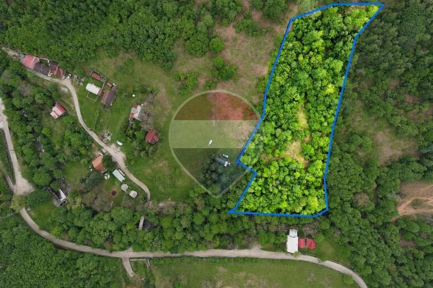 Teren Construcții intravilan de 6700 mp, în Pietroasa