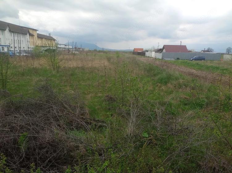 Teren intravilan in Sanpetru, suprafata 900mp - 3