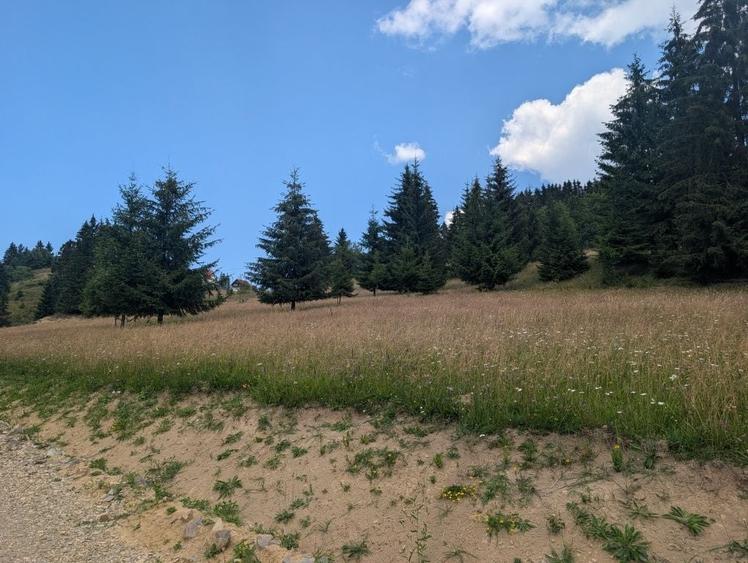 Spațiu comercial, în Piatra